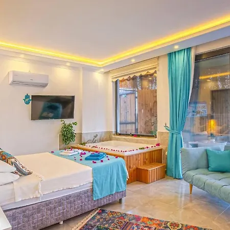 Private Sahin-2 Pool Heater Available